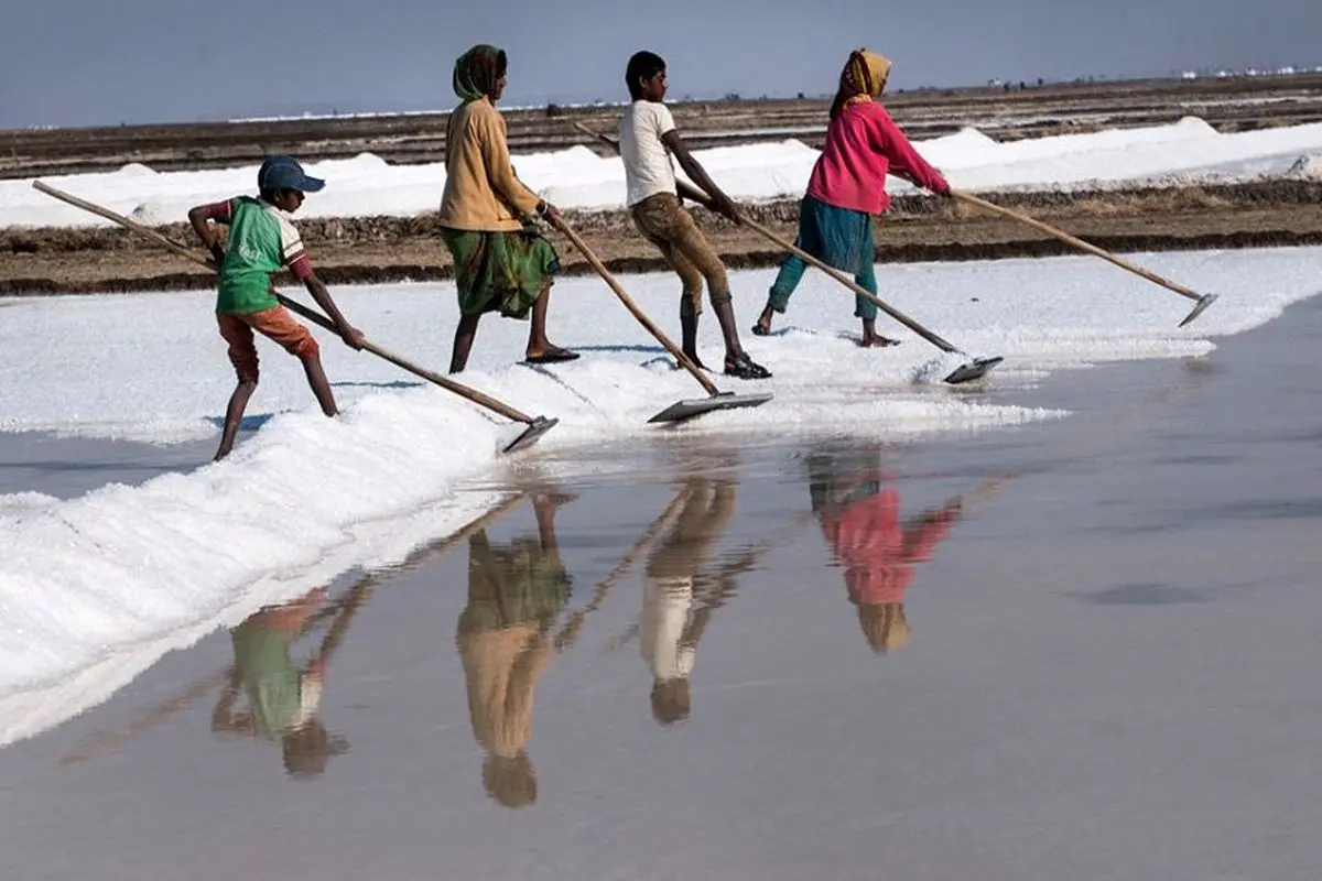 برداشت نمک در منطقه آگاریای هند