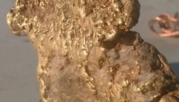 کشف تکه ای طلا به اندازه استیک