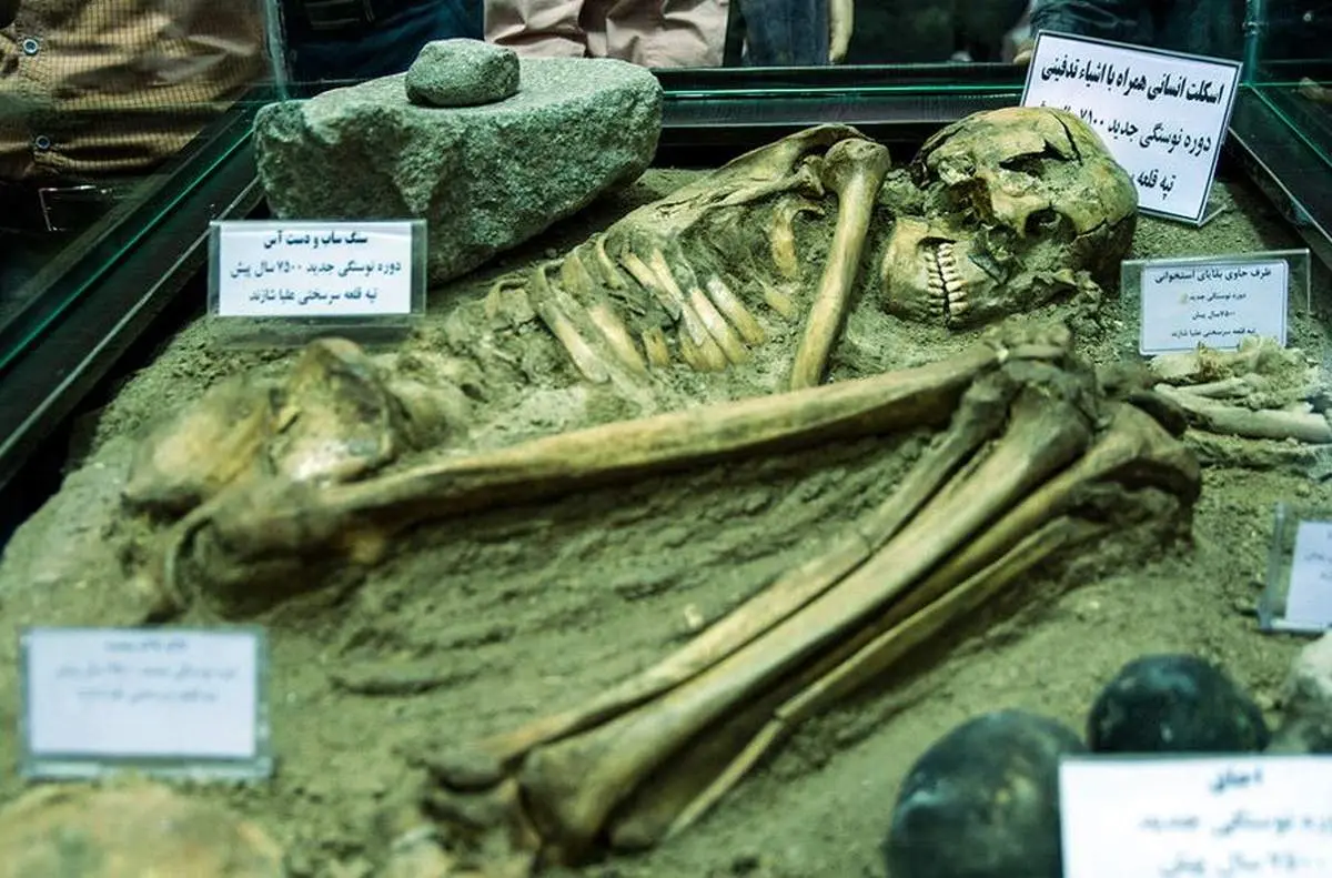 رونمایی ازاسکلت۷۵۰۰ساله شازند