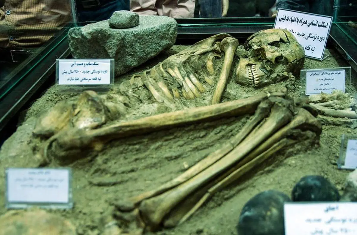 رونمایی ازاسکلت۷۵۰۰ساله شازند