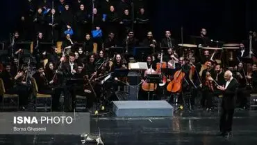 گربه ای که میهمان تالار وحدت شد