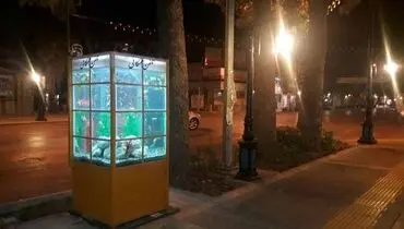کیوسکی كه در بجنورد آکواریوم شد+عکس