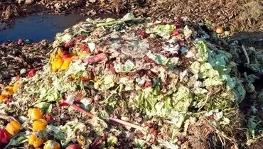 ۳۷۵کیلو هدررفت مواد غذایی برای هر نفر ایرانی!