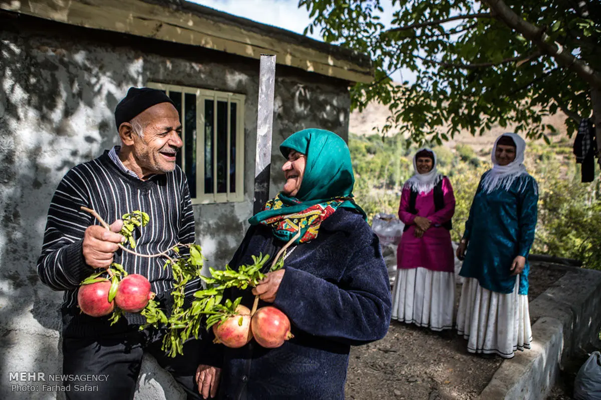 جشن انار در روستای انبوه