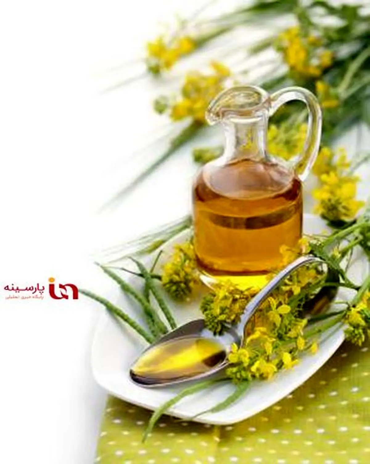 هر آنچه باید درباره روغن‌های سرخ‌کردنی بدانید