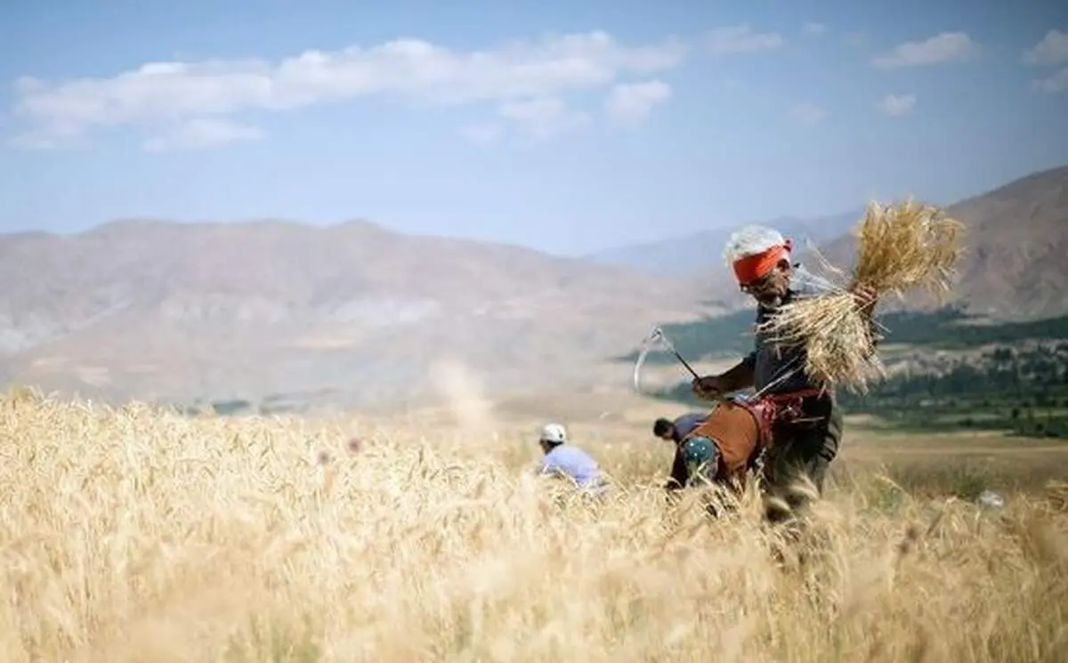 دولت دلش به حال کشاوزان سوخت؟