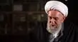 عنایت ویژه امیرالمؤمنین به آیت‌الله ناصری؛ روایتی که تازگی‌ها فاش شد + فیلم