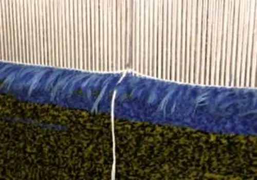  آب کلم و فواید بی نظیر آن 