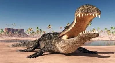 برترین اکتشافات دایناسوری سال ۲۰۲۵؛ از کروکودیل شکارچی تا اتوبان فسیلی + عکس