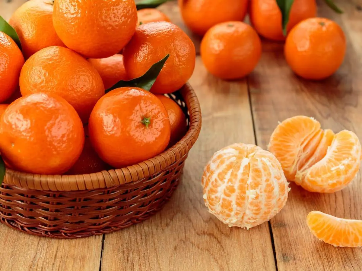 با خواص شگفت انگیز نارنگی یافا آشنا شوید