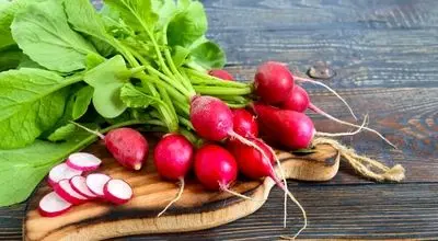 تاثیر تربچه در کم کاری و پرکاری تیروئید 