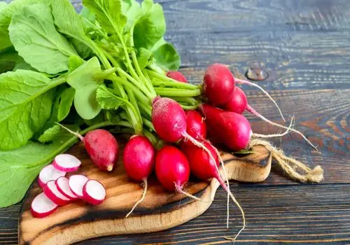 تاثیر تربچه در کم کاری و پرکاری تیروئید 
