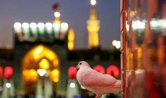 نصب پرچم نام امام حسن مجتبی(ع) کنار گنبد مطهر رضوی + فیلم