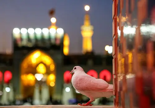 اقامه نماز پیکر رهبر شهید به امامت آیت‌الله نوری همدانی + عکس