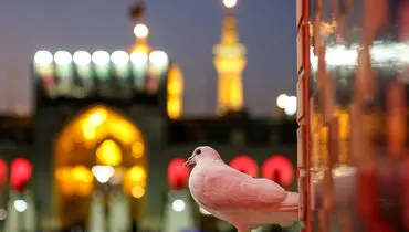 برافراشته شدن پرچم مشکی بر فراز گنبد حرم مطهر رضوی+ عکس