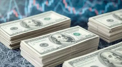 با تداوم وضع موجود دلار ۲۴۰ هزار تومان می‌شود+ فیلم