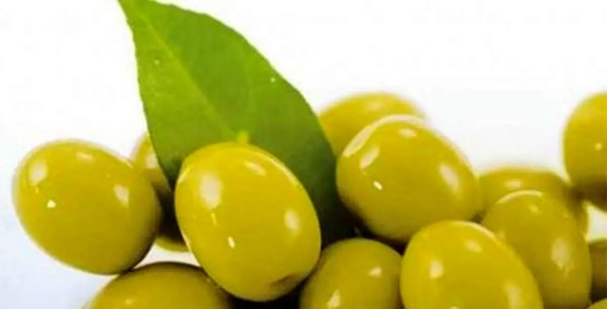 چگونه تلخی زیتون را بگیریم؟