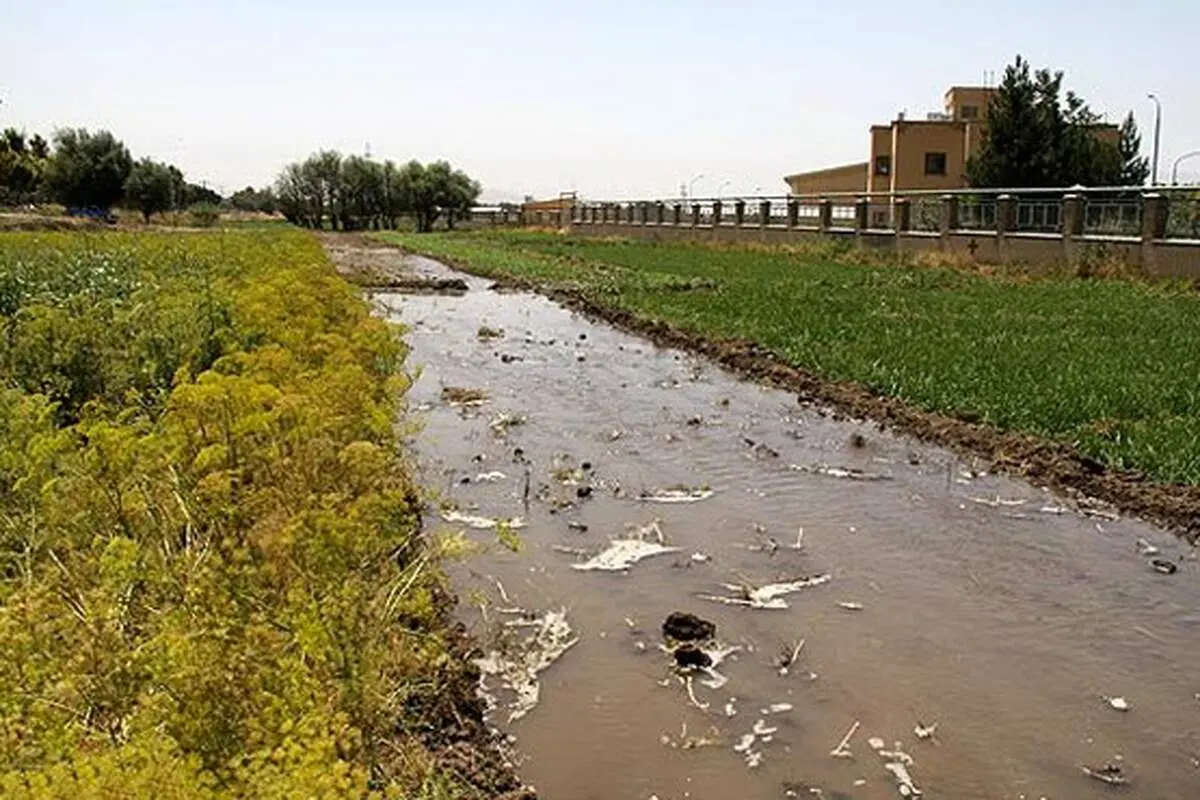 زمينهای كشاورزی با آب فاضلاب آبياری می‌شوند؟