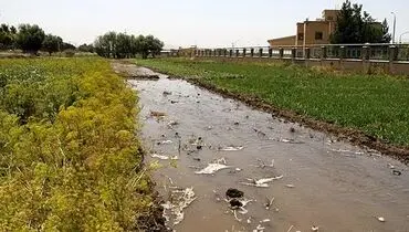 زمينهای كشاورزی با آب فاضلاب آبياری می‌شوند؟