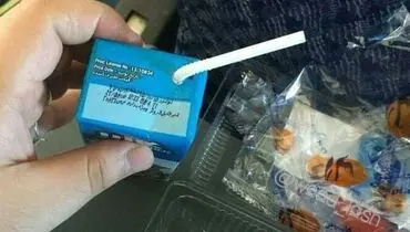 شیر رایگان مدارس سر از پذیرایی هواپیما درآورد +عکس