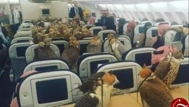 شاهزاده سعودی برای پرنده‌ها بلیت هواپیما خرید +عکس