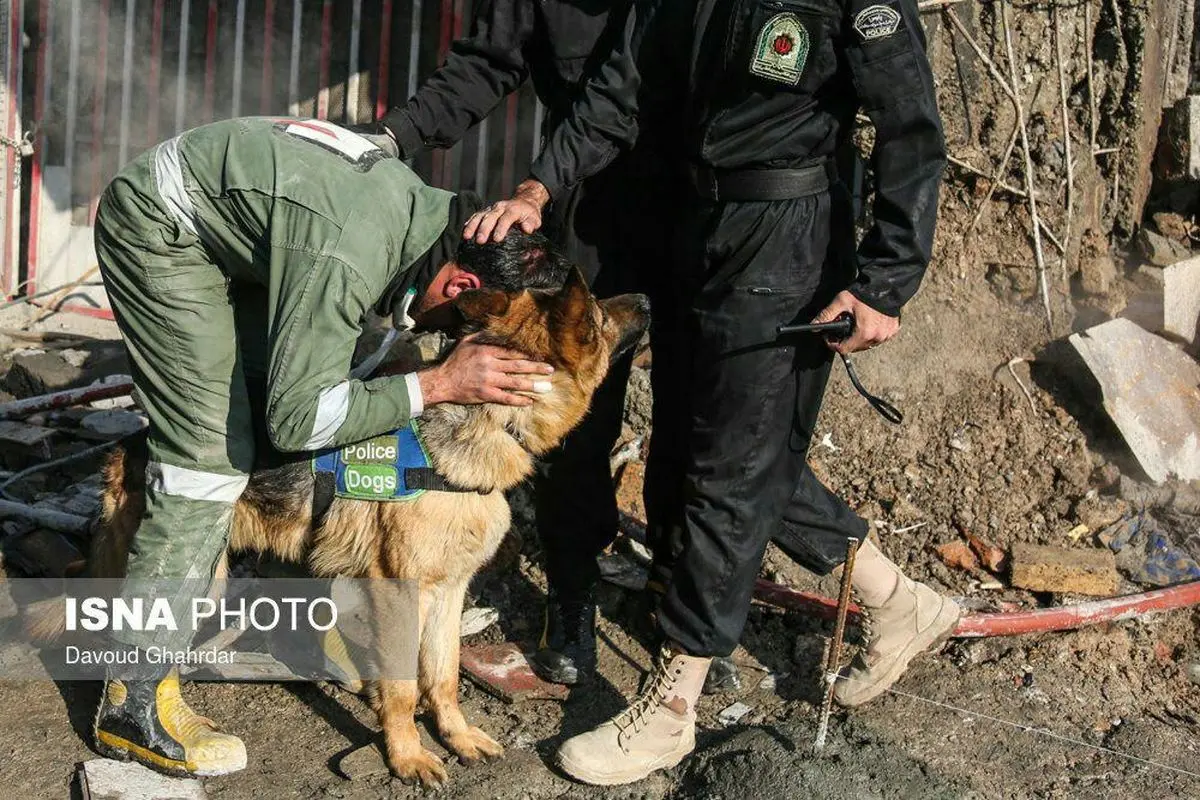 تشکر مامور آتش‌نشانی از سگ زنده‌یاب به خاطر پیداکردن پیکر دوستانش+عکس