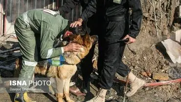 تشکر مامور آتش‌نشانی از سگ زنده‌یاب به خاطر پیداکردن پیکر دوستانش+عکس