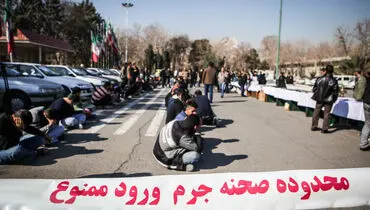 انهدام ۲۹ باند سرقت در پایتخت