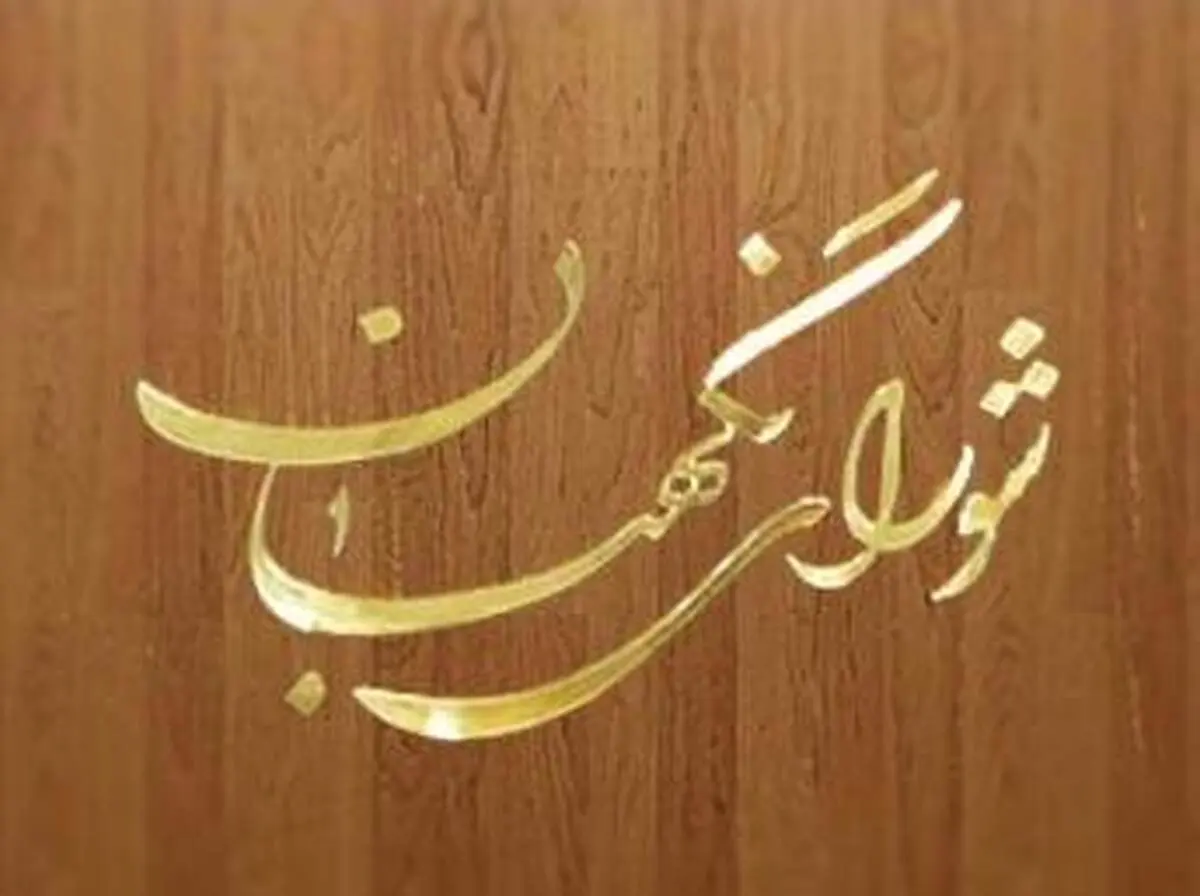 "رجُل سیاسی" موضوع بررسی شورای نگهبان