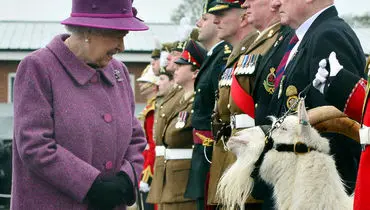 دیدار ملکه انگلیس با بز سلطنتی/عکس