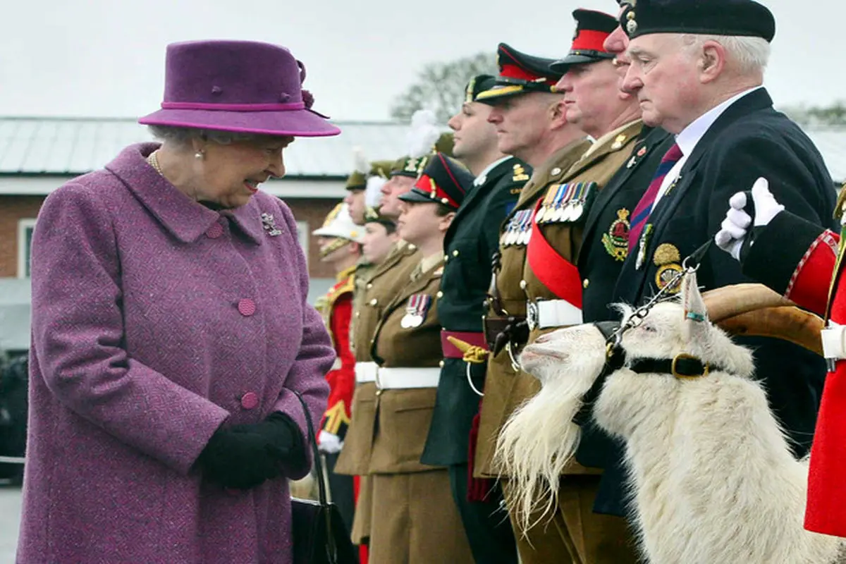 دیدار ملکه انگلیس با بز سلطنتی/عکس