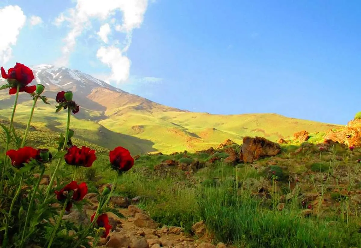 آهنگ بهار بهار تورج شعبانخانی