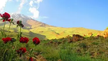 آهنگ بهار بهار تورج شعبانخانی