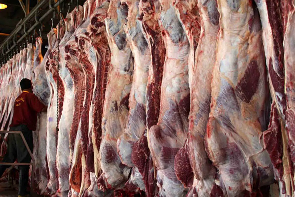 وعده کاهش قیمت گوشت قرمز عملی می‌شود؟
