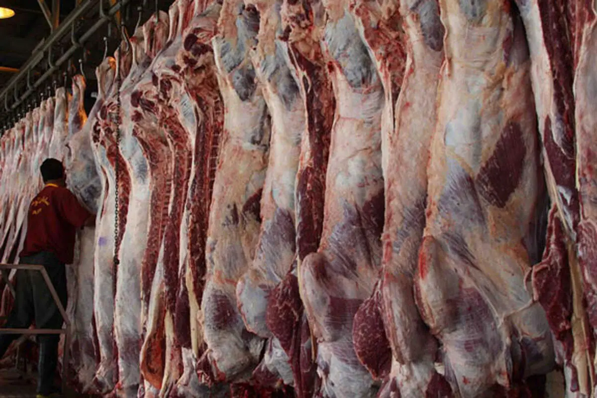 وعده کاهش قیمت گوشت قرمز عملی می‌شود؟