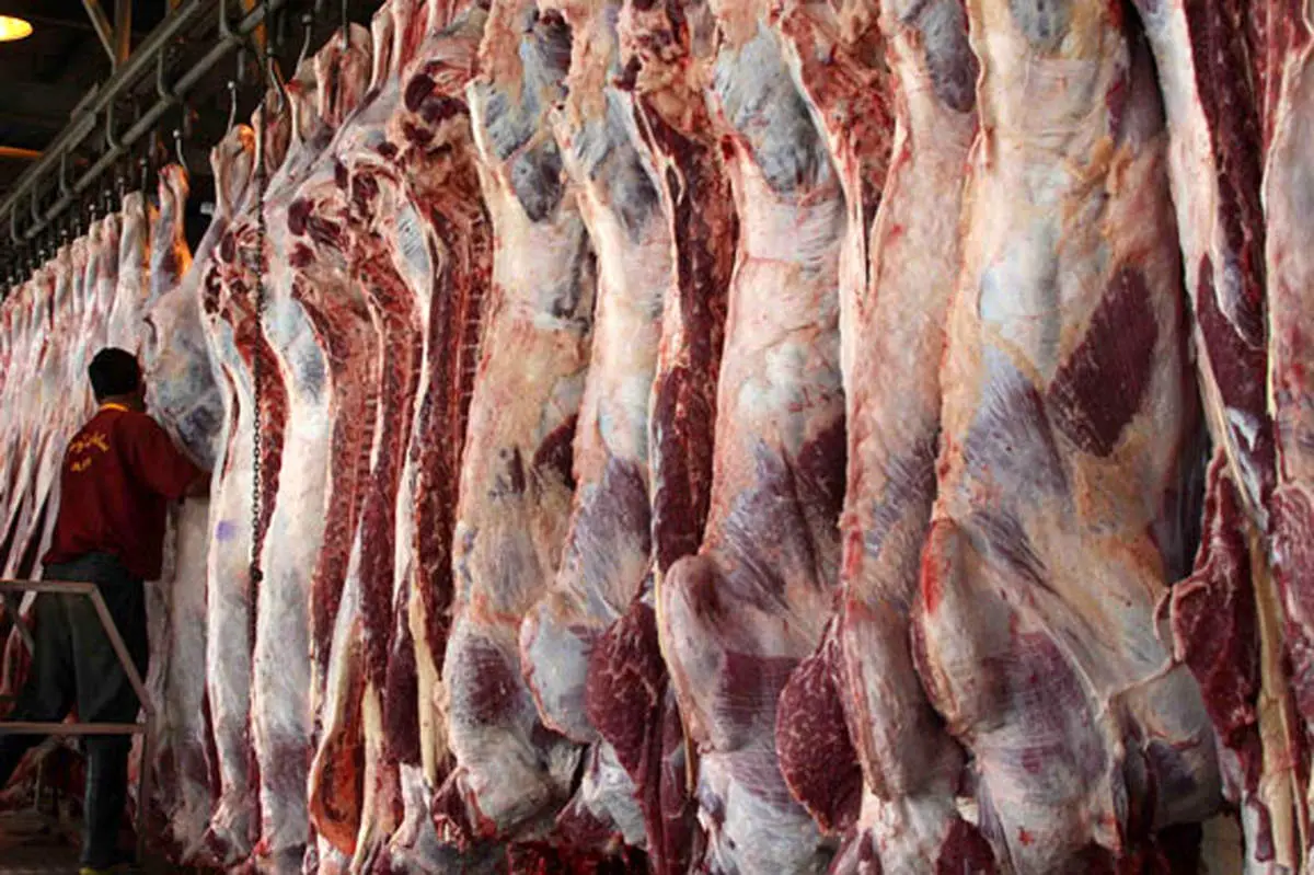 گوشتهای آلوده وارداتی سر سفره ايرانيان!
