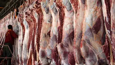 گوشت‌های آلوده وارداتی سر سفره ايرانيان!