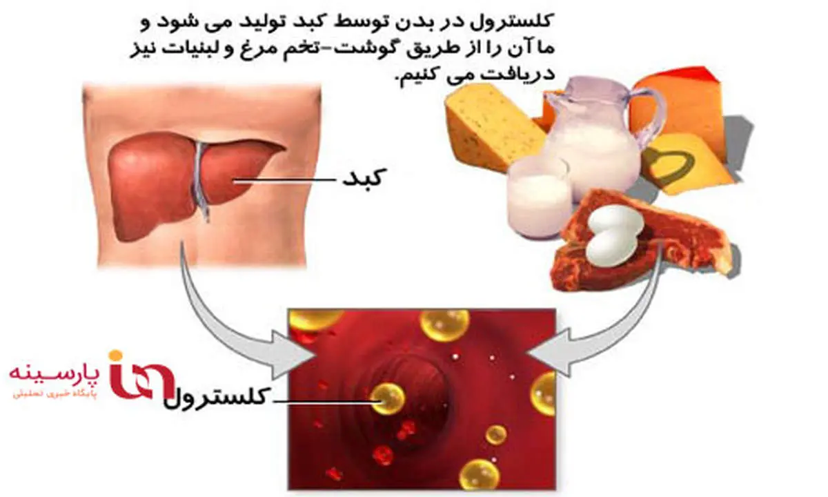 با این رژیم غذایی کلسترول خونتان را کاهش دهید