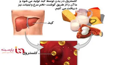 با این رژیم غذایی کلسترول خونتان را کاهش دهید