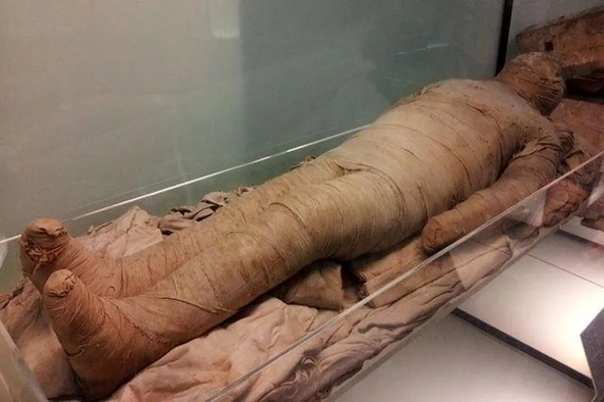 کشف جسد مومیایی شده در سن پترزبورگ +عکس