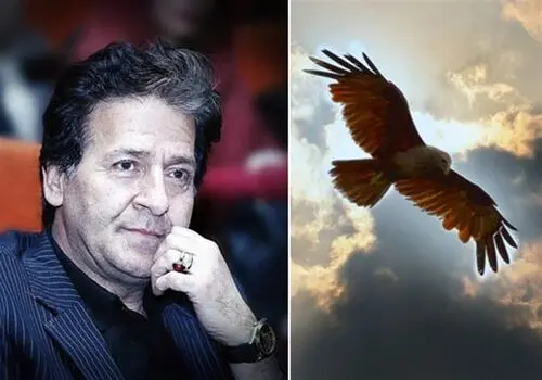 قاچاق پرندگان کمیاب ایران برای شرط بندی شیوخ عرب