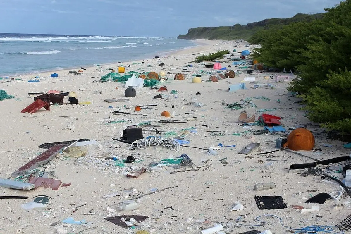 فاجعه زیست محیطی در جزیره گمنامِ اقیانوس آرام