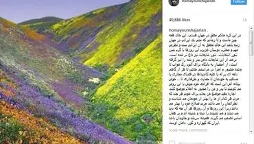 همایون شجریان: اجازه دهید موضع من بماند برای خودم