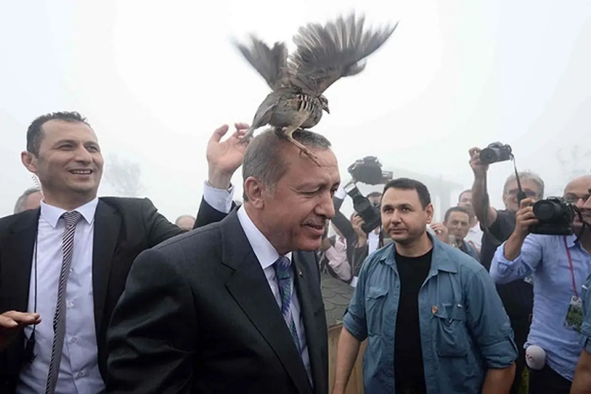 اردوغان و گرفتاری در مشکلات روزافزون ترکیه