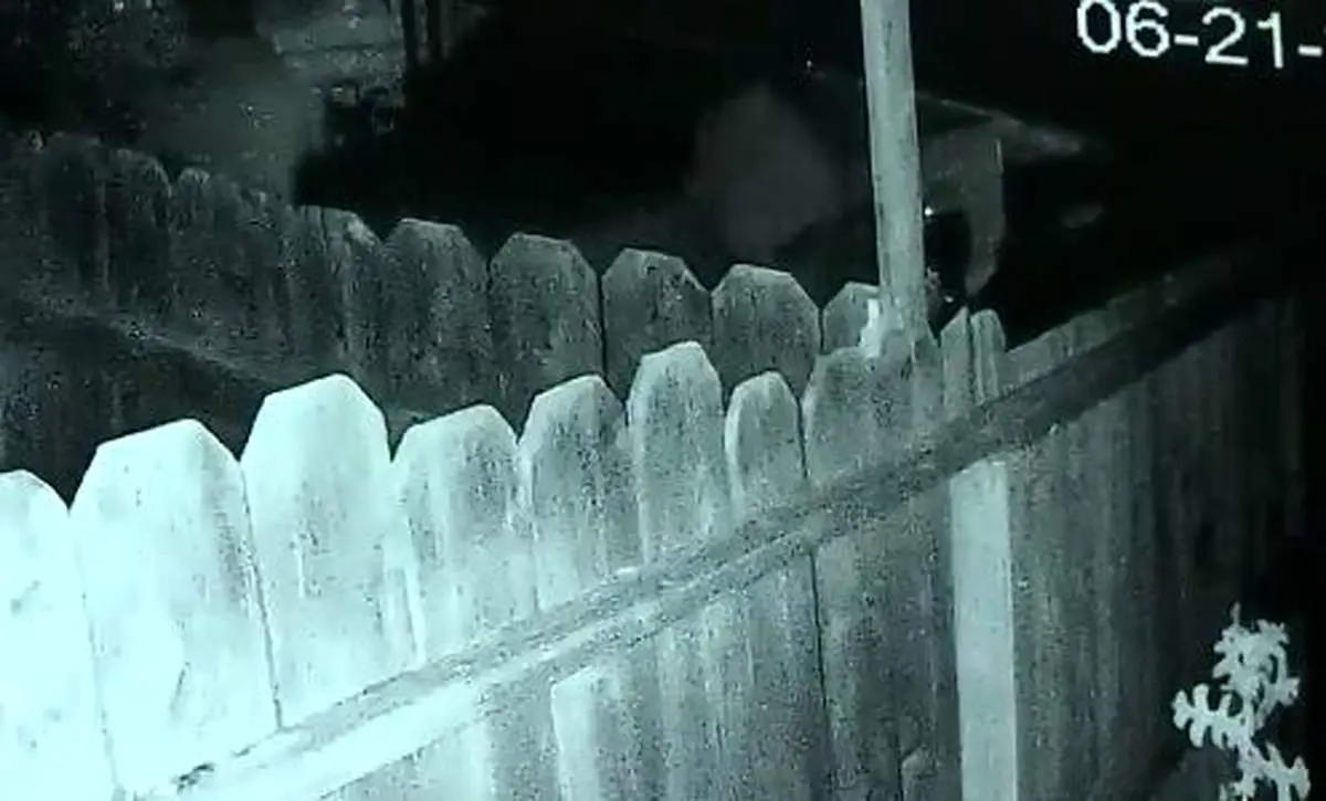 پاتک مرگبار صاحبخانه به سارقان