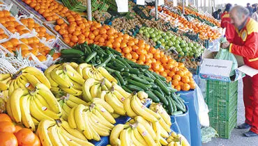 میوه‌های قاچاق به حاشیه کشیده شدند
