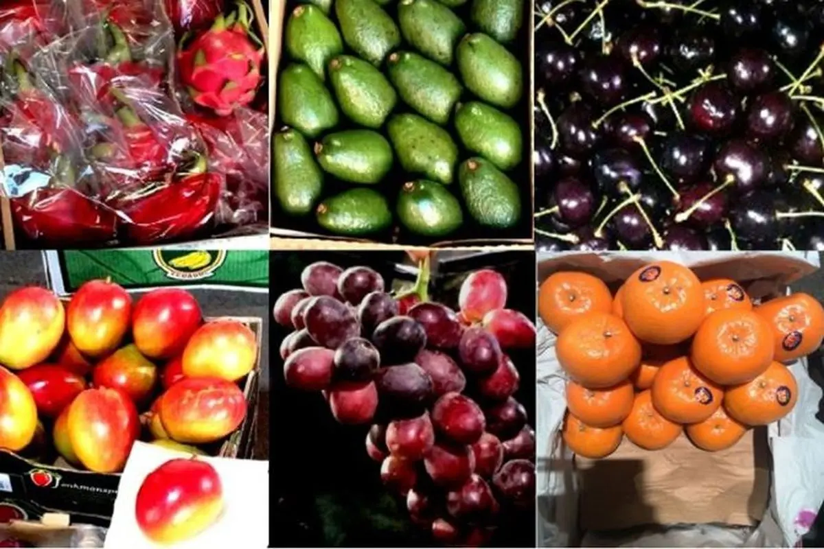 ورود میوه‌های جدید به بازار داخلی