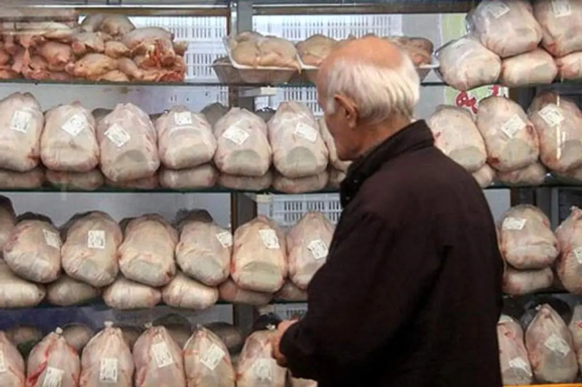 سر سازمان حمایت شلوغ است!