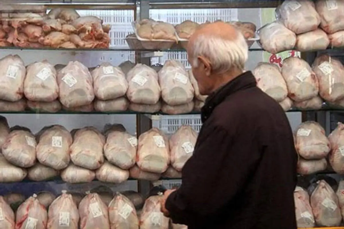 سر سازمان حمایت شلوغ است!