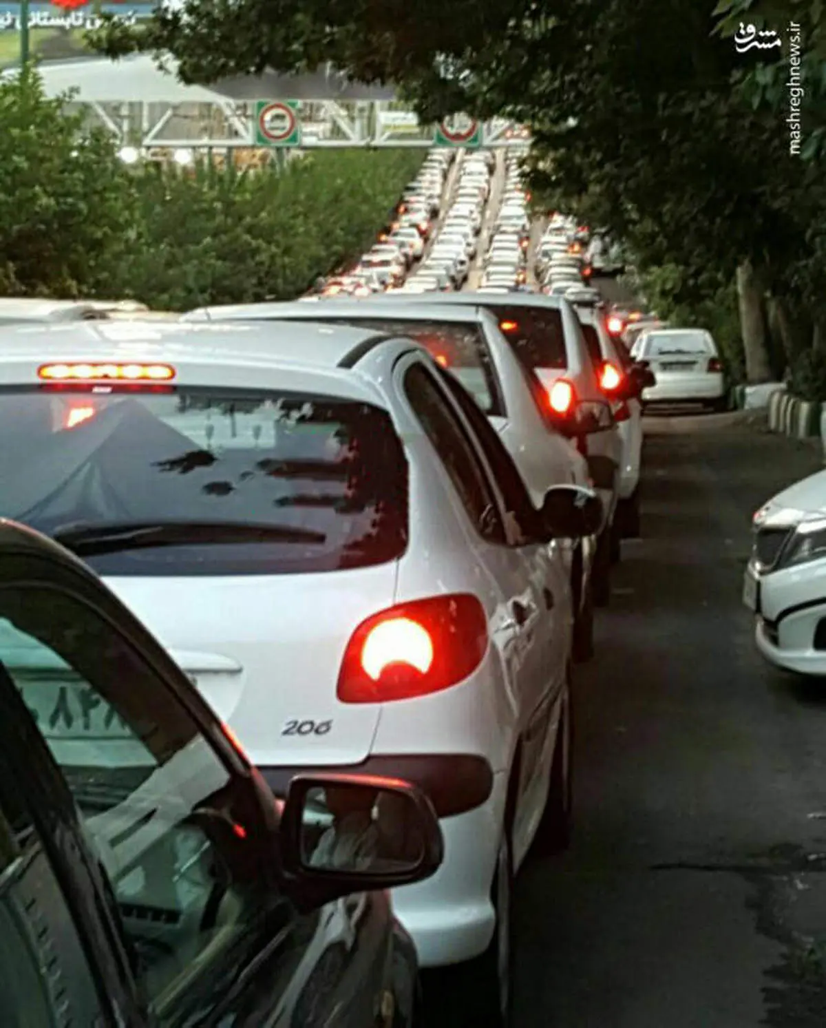 صحنه ای نادر در خیابان های ایران